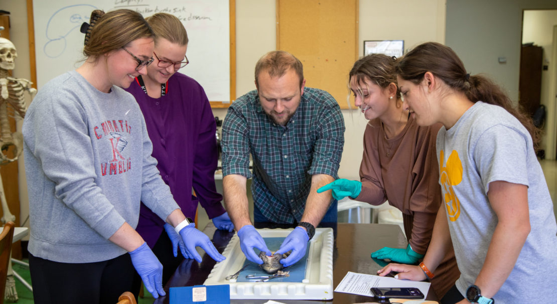 Four students and an instructor, all wearing gloves, examine an animal skeleton in a classroom lab setting, appearing engaged and collaborative. A human skeleton model stands in the background.