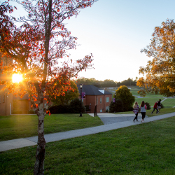 Students walk along a sidewalk on a grassy campus at sunset, with sunlight shining through autumn-colored trees and brick buildings in the background.
