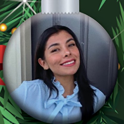 A woman with long dark hair and a light blue blouse smiles inside a Christmas ornament frame decorated with green pine branches and festive lights.